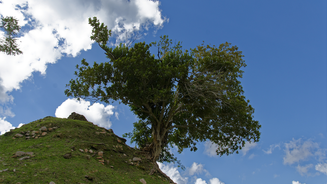 20171227 013 4300  Altun Ha, Near Belize City, Belize, Belize